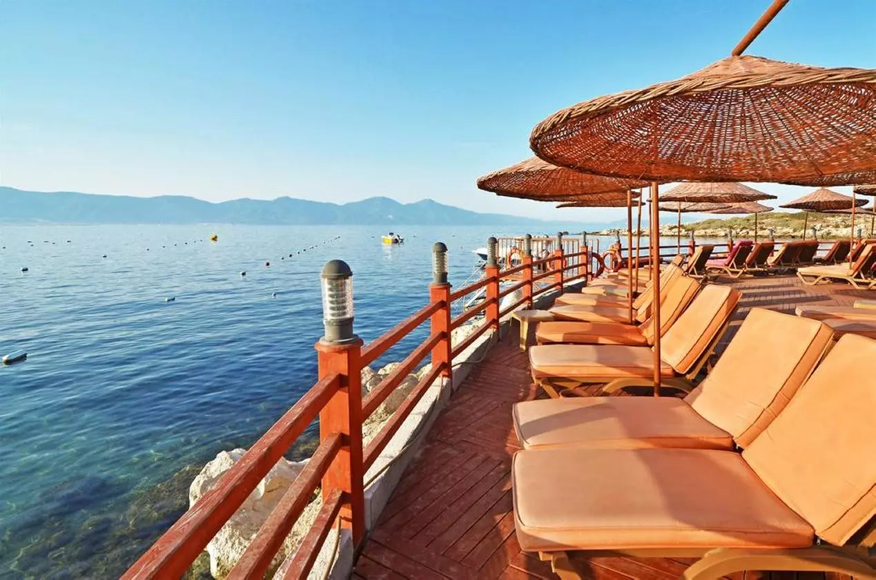 BLUESKY_SHABAVIZ (11).jpg